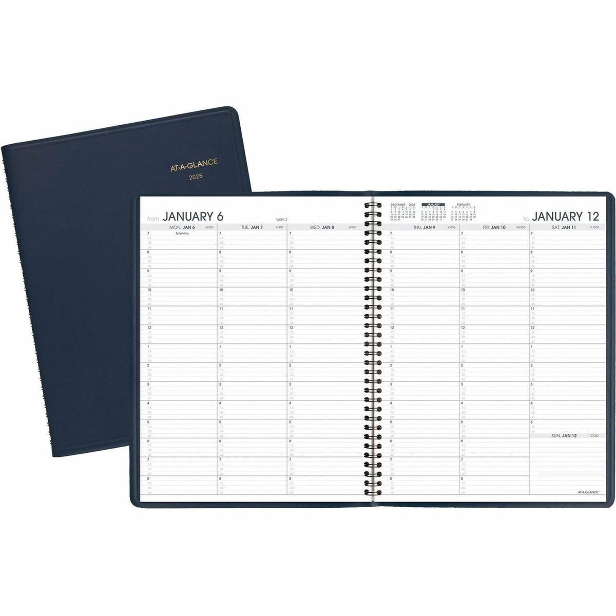 AT-A-GLANCE Appointment Book Planner (AAG7095020)