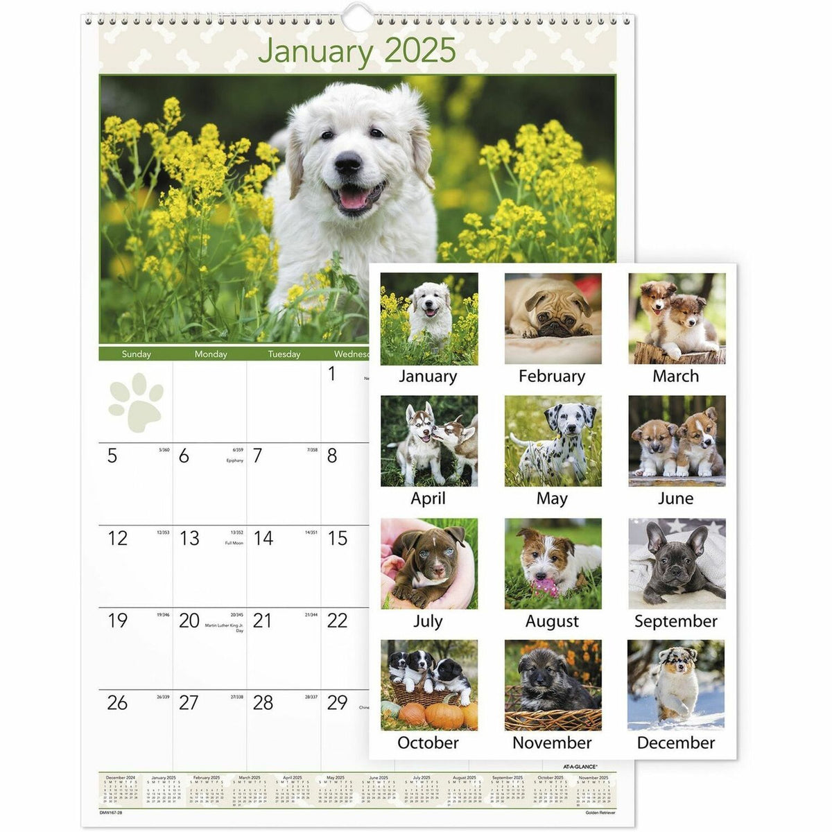 AT-A-GLANCE Puppies Wall Calendar (AAGDMW16728)