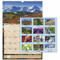 AT-A-GLANCE Scenic Wall Calendar (AAGDMW20128)