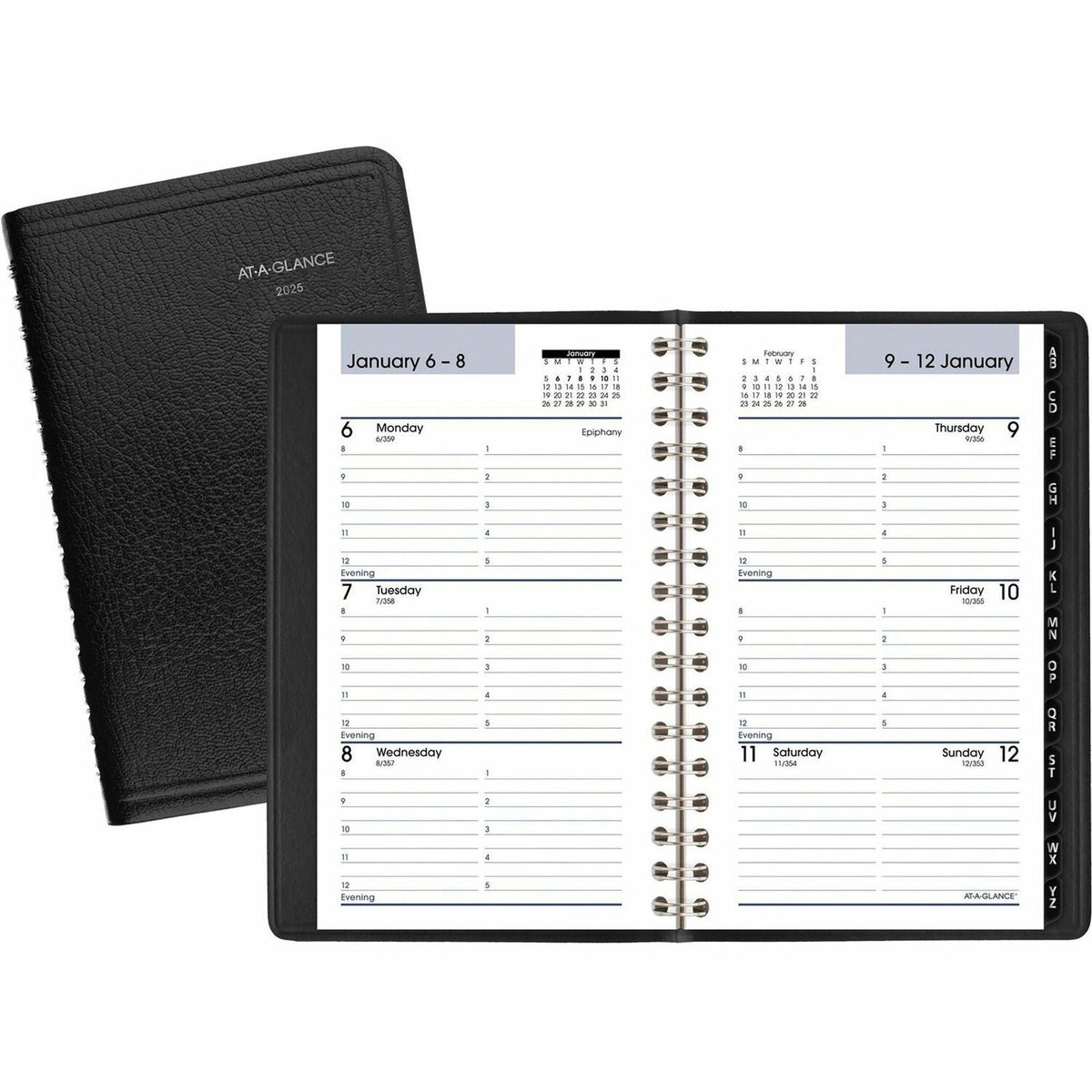 AT-A-GLANCE DayMinder Appointment Book Planner (AAGG25000)