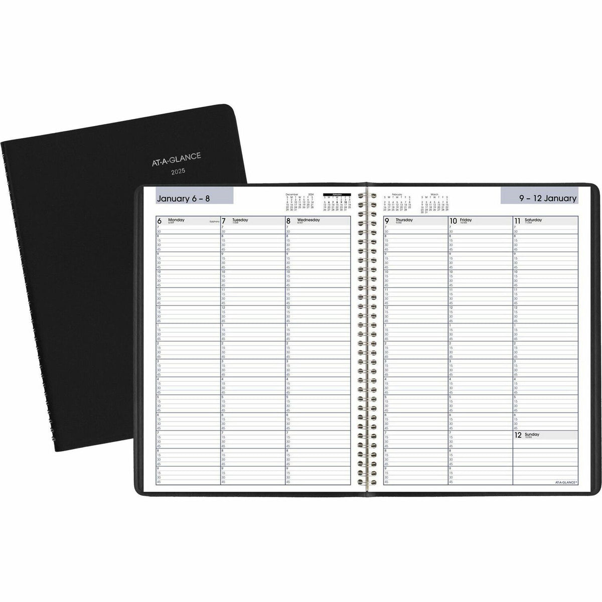 AT-A-GLANCE DayMinder Appointment Book Planner (AAGG52000)