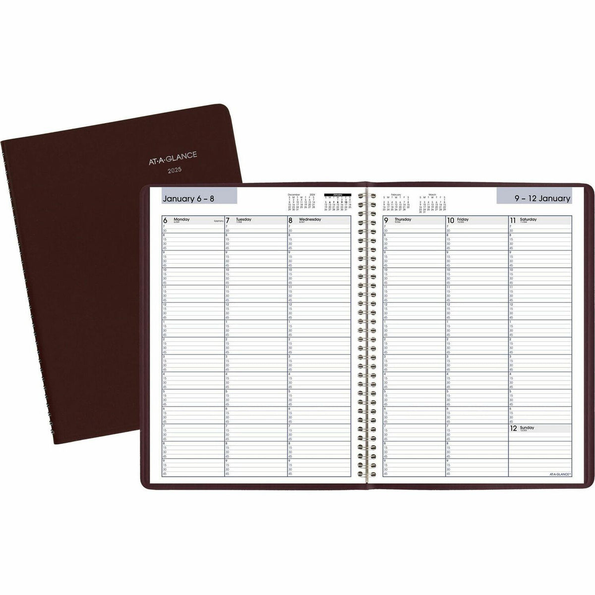 AT-A-GLANCE DayMinder Appointment Book Planner (AAGG52014)