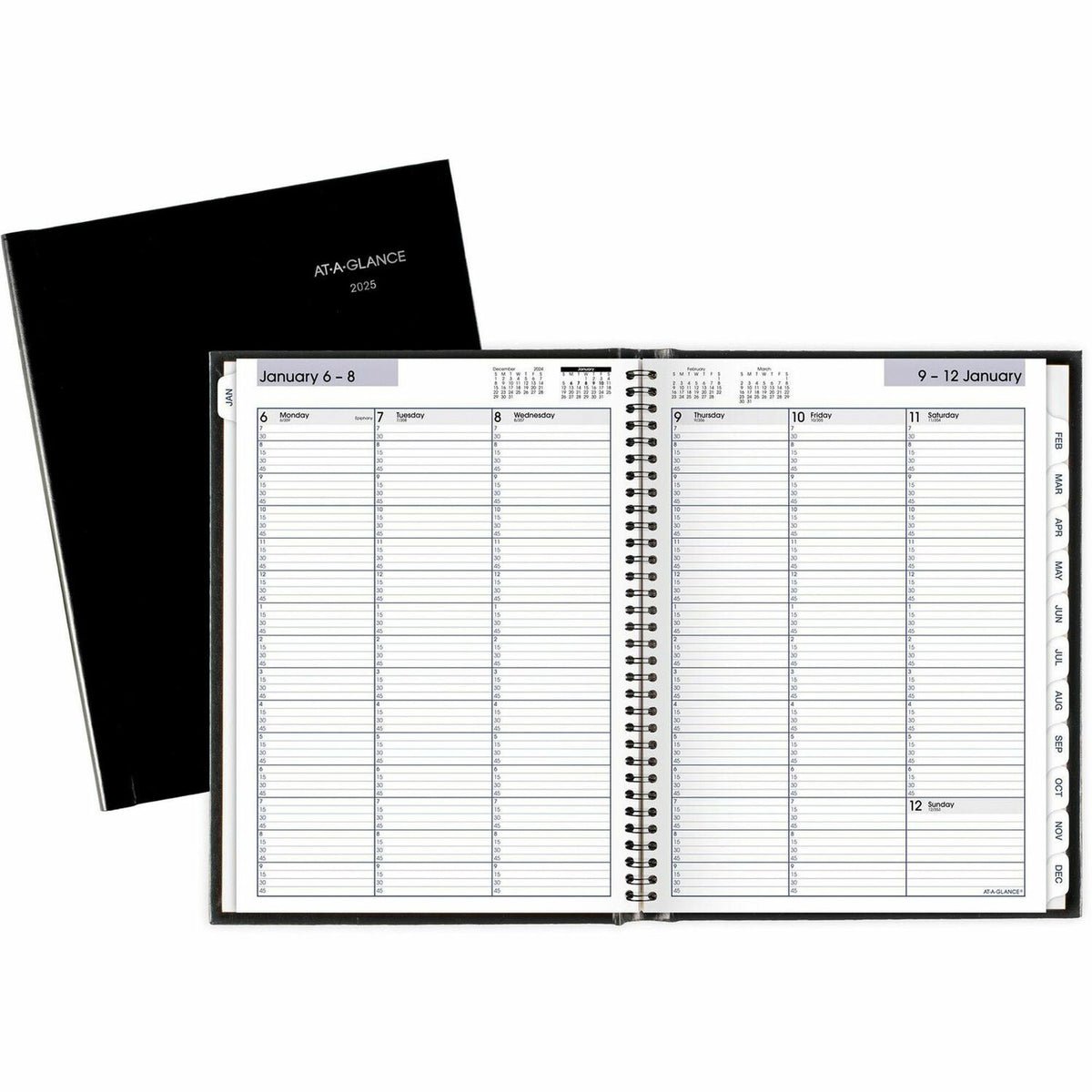 AT-A-GLANCE DayMinder Premiere Appointment Book Planner (AAGG520H00)