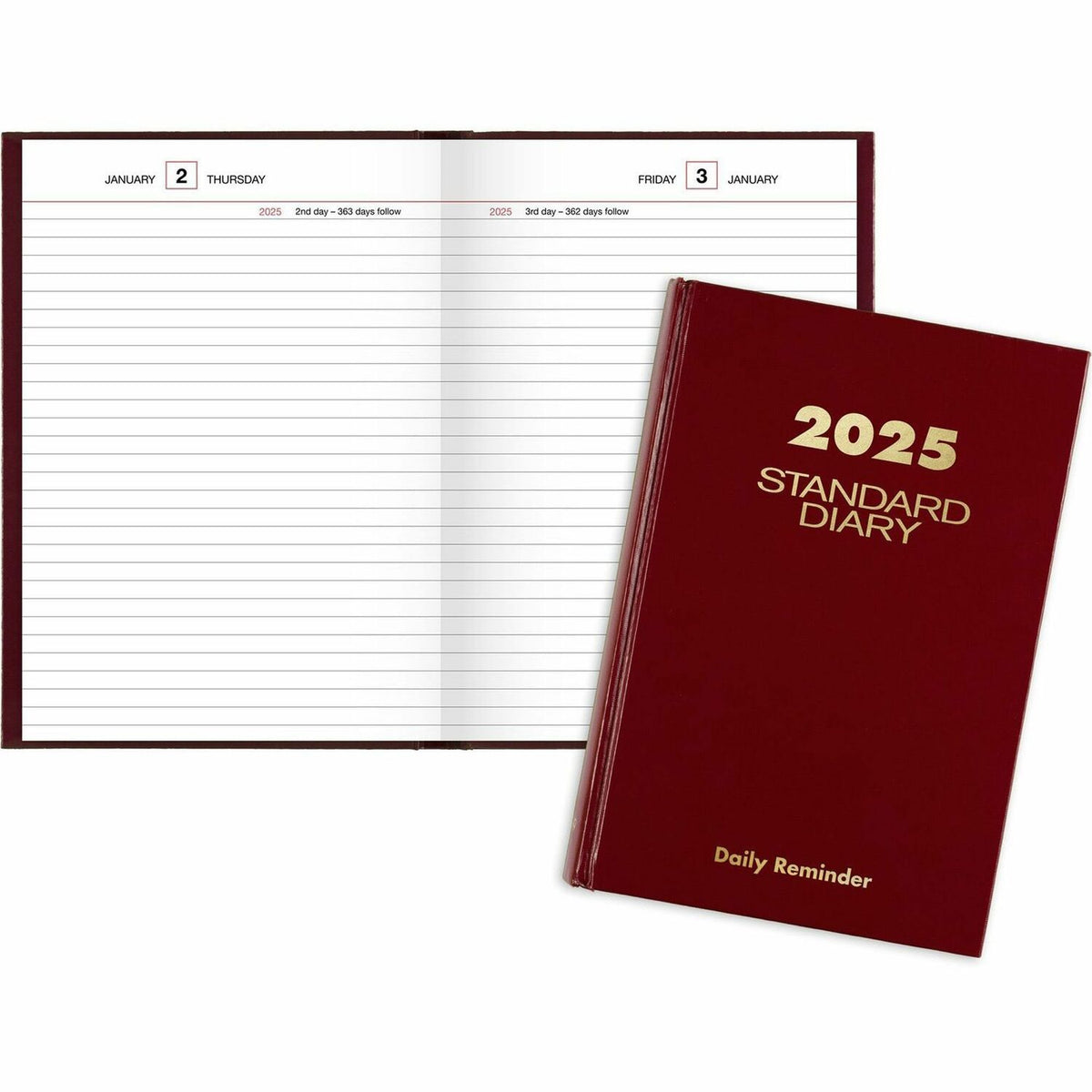 AT-A-GLANCE Standard Diary Reminder (AAGSD38913)