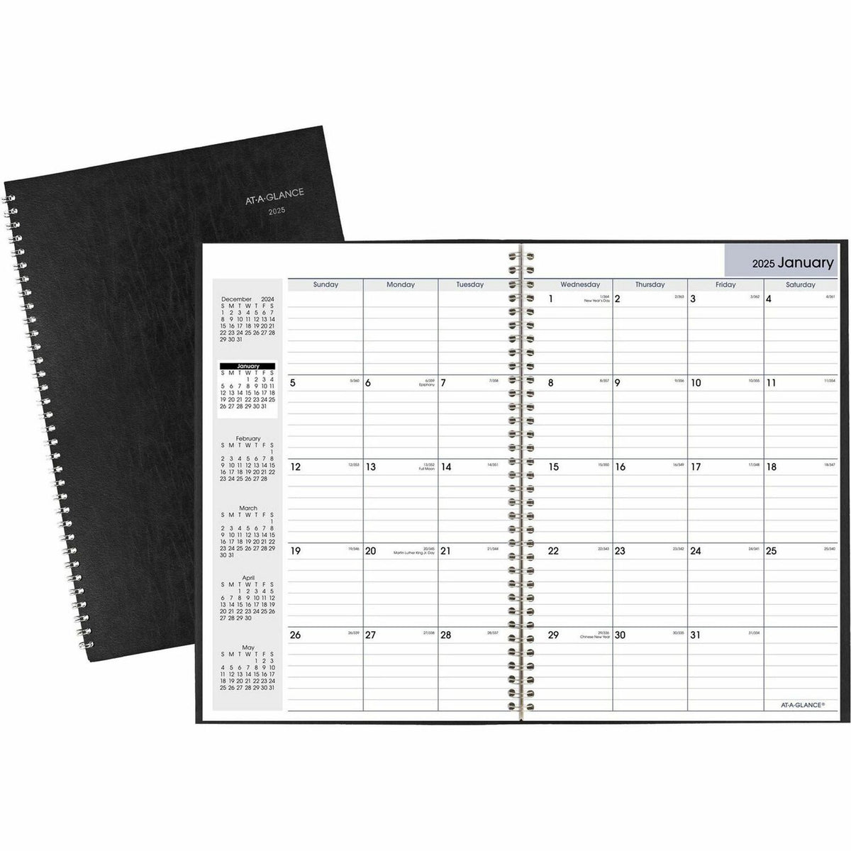 AT-A-GLANCE DayMinderPlanner (AAGSK200)