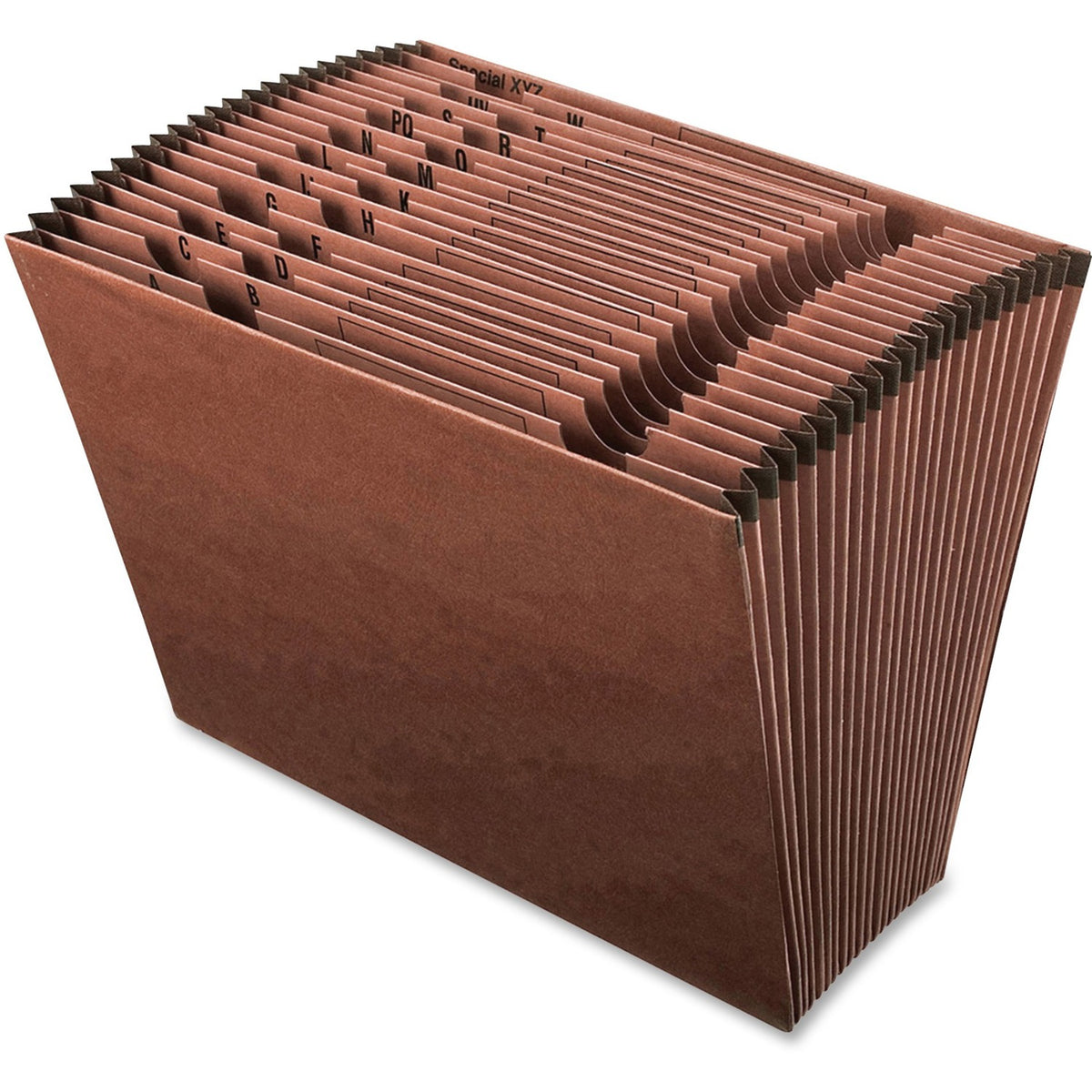 Pendaflex Letter Recycled Expanding File (PFXER17A)