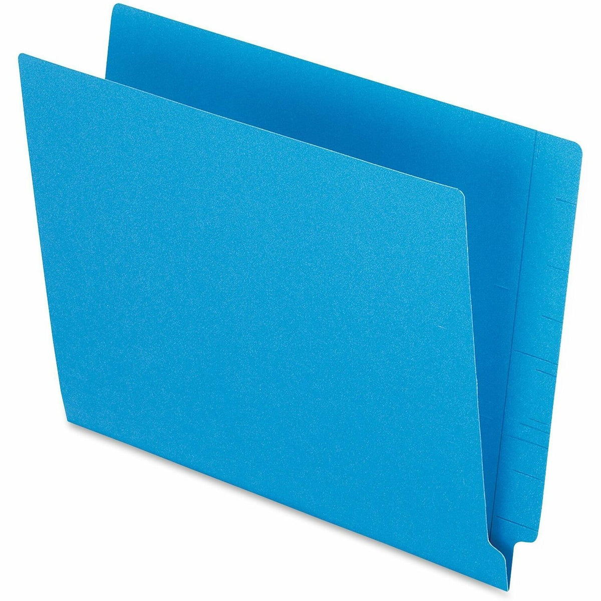 Pendaflex Letter Recycled End Tab File Folder (PFXH110DBL) – Sweety Goods