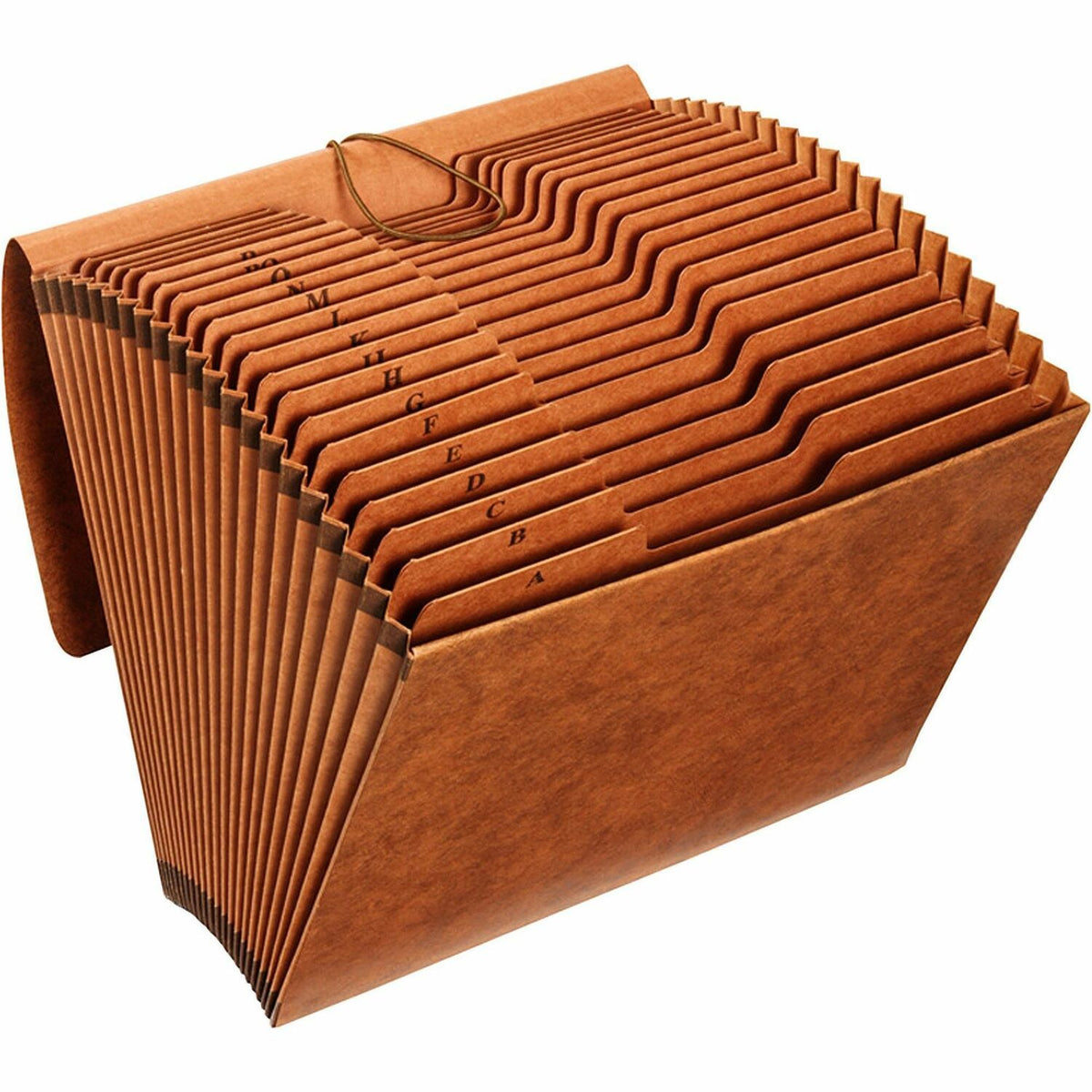Pendaflex 1/3 Tab Cut Legal Recycled Expanding File (PFXR119ALHD)