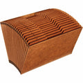 Pendaflex 1/3 Tab Cut Recycled Expanding File (PFXR219AHD)