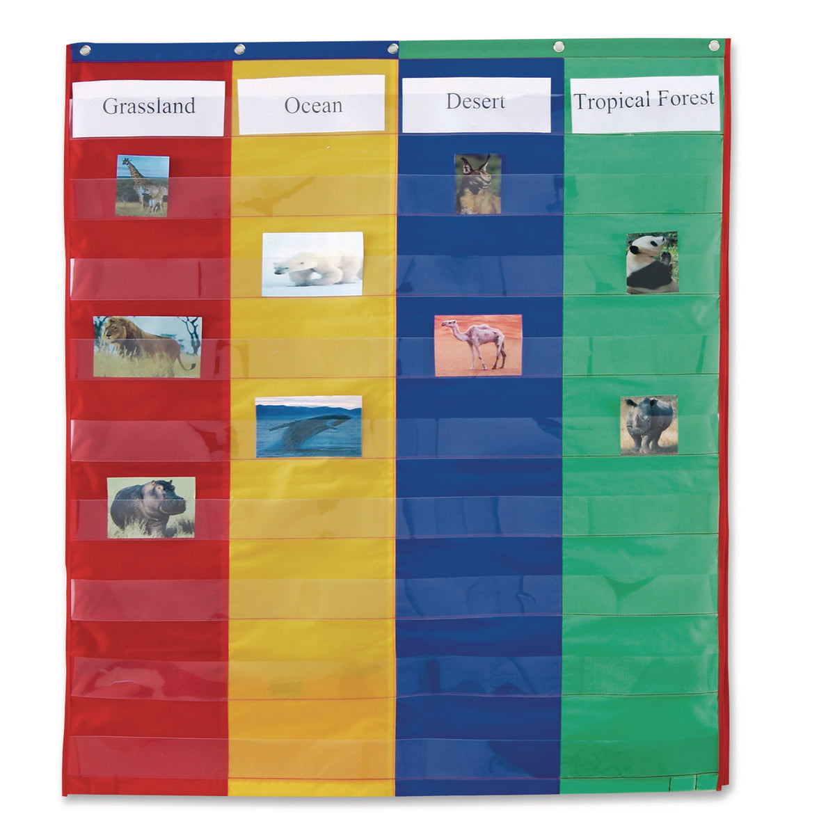Learning Resources Two- and Four-Column Double-Sided Pocket Chart, 9 Pockets/Chart, 30 x 38, Blue/Green/Red/Yellow (LER2382)