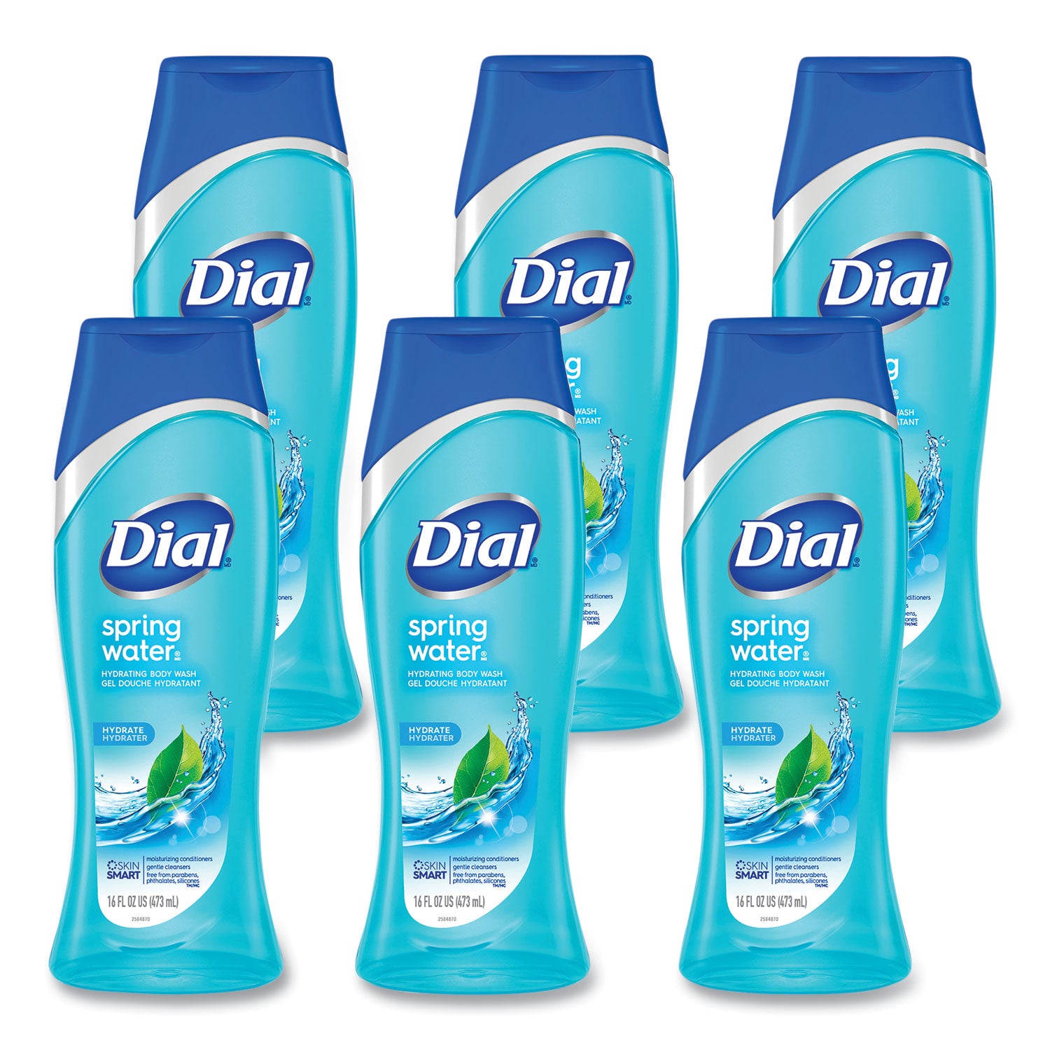 Dial Body Wash, Spring Water Scent, 16 oz, 6/Carton (DIA02653)