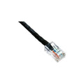 Axiom 2ft Cat6 Cable (black) - Taa (AXG94037)