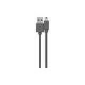 Belkin Cable,usb,usba/usbmini5pb,1.8m,power/dat (F3U155BT1.8M)