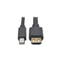 Tripp Lite Mini Dp 1.2a To Hdmi Adapter M/m 12ft (P586012HDV2A)