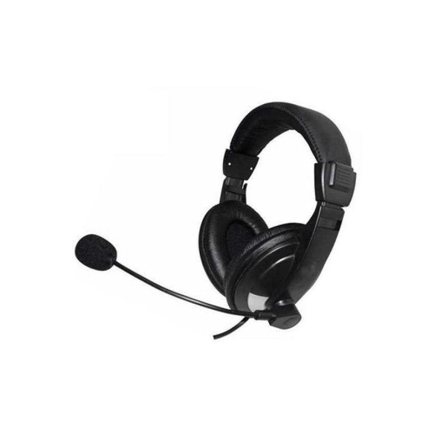 Ergoguys Headset Rotating Mic Black Usb (EG55BLK)